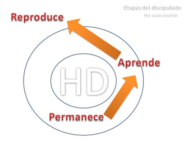 Etapas Del Discipulado - Faxjuvenil.com