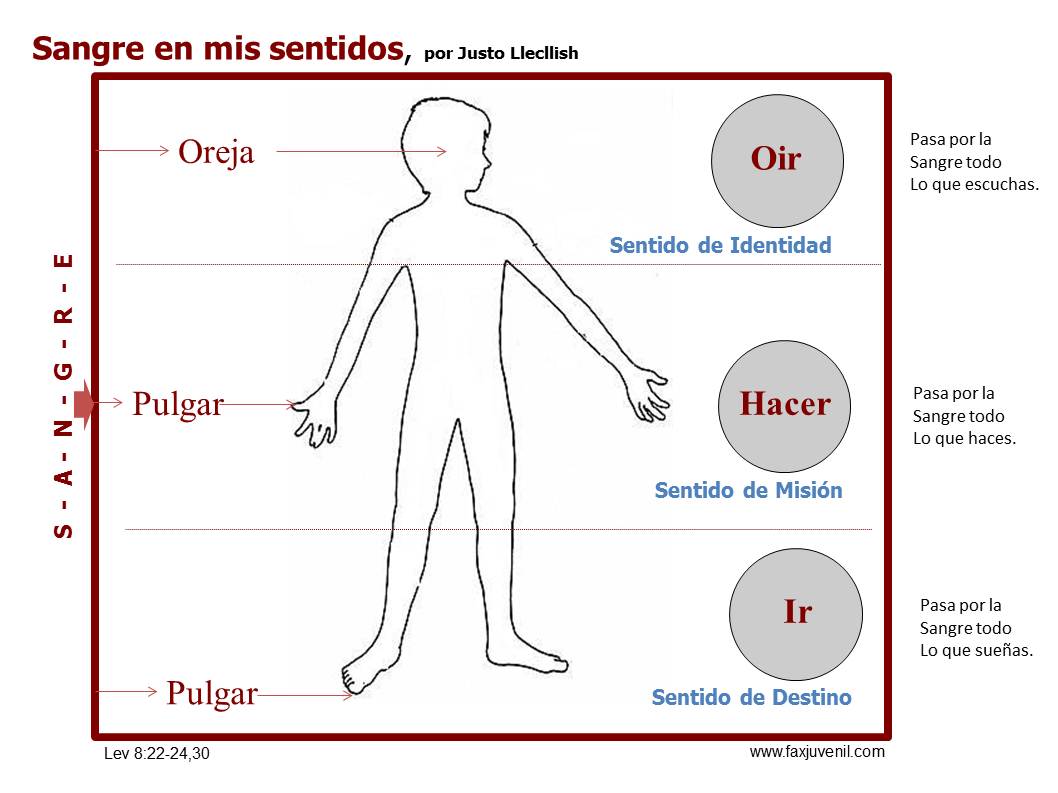 Sangre-en-mis-sentidos11.jpg